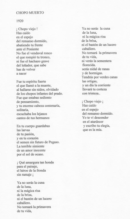 "CHOPO MUERTO".- Federico García Lorca (1920)